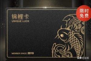 锦鲤的养殖方法视频（锦鲤的养殖技术）