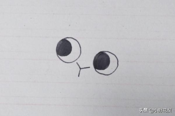 小兔图片大全大图（小兔图片大全大图真实）