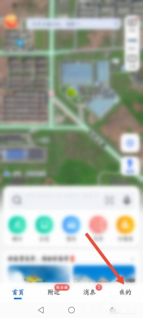 地图鱼怎么分公母视频