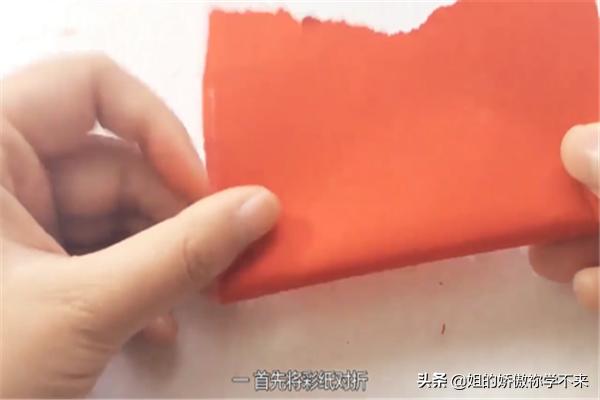 蝴蝶犬怎么剪毛好看（蝴蝶犬怎么剪毛好看又简单）