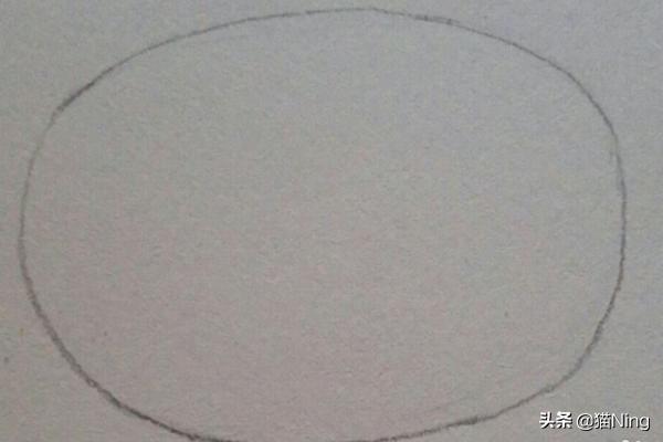 猫的图片简笔画彩色（猫的图片画画）