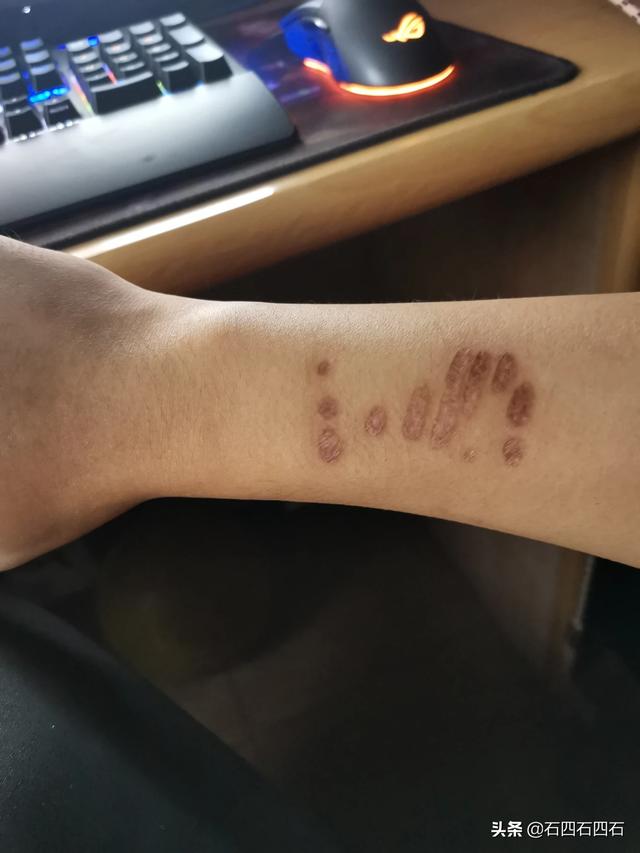 秋田犬有什么特点（秋田犬是什么样子的）