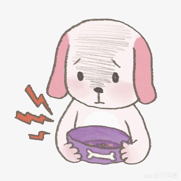 可爱狗狗图片 图集（可爱狗图片大全）