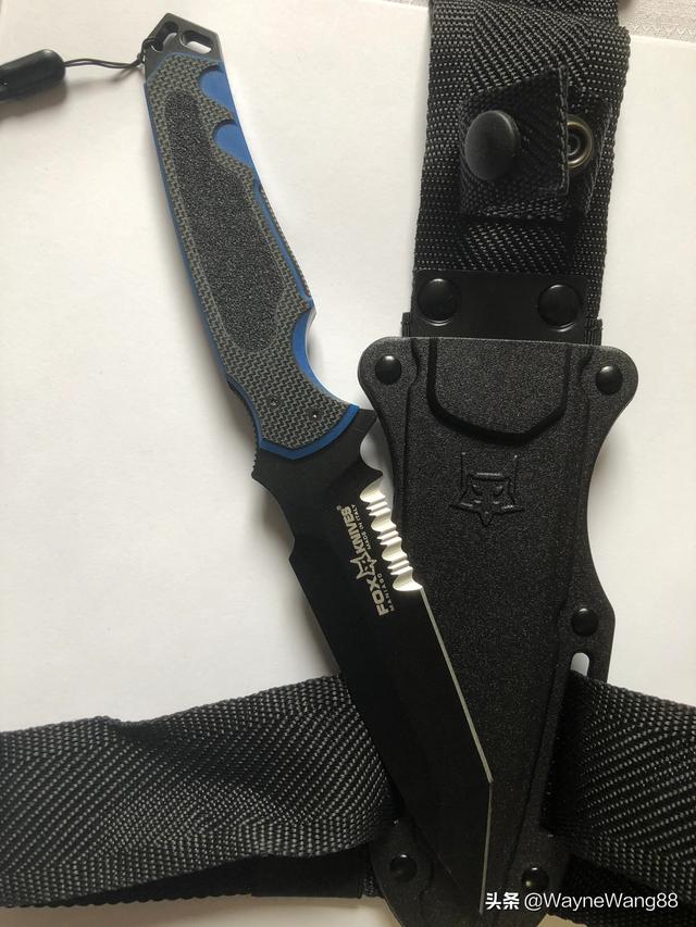 狐狸种类意大利（意大利狐狸直刀）