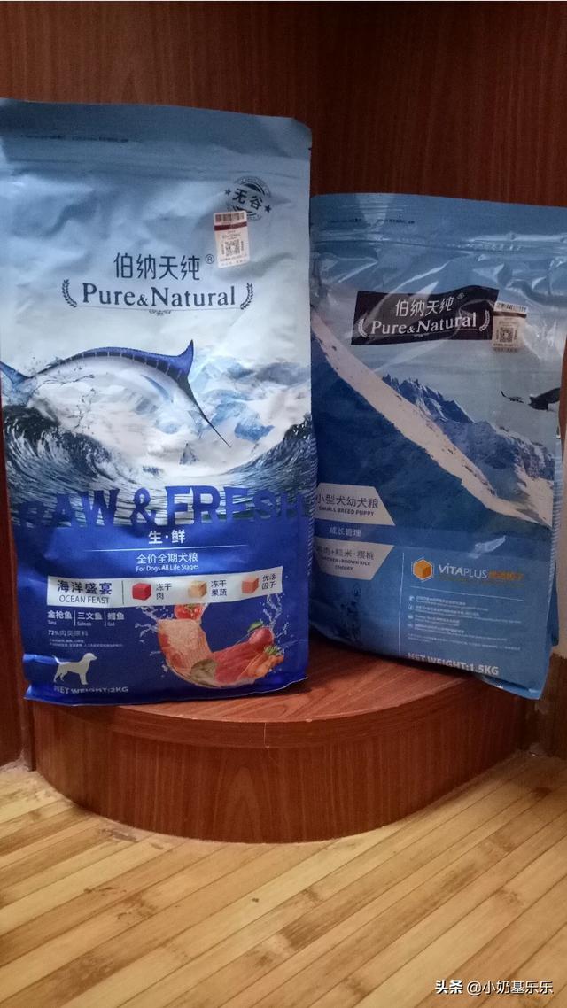 柯基幼犬吃什么牌子狗粮好（柯基吃啥牌子狗粮好）