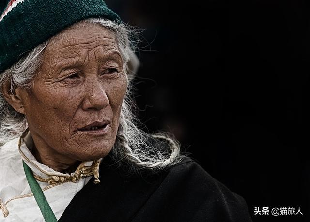 一只藏獒多少钱 