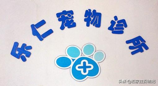 石家庄回收宠物电话（石家庄回收宠物电话多少）