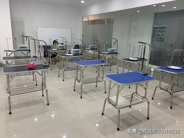 常州哪里可以学宠物美容（常州哪里可以学宠物美容师）