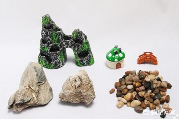 水草缸造景教程（草缸水草造景）