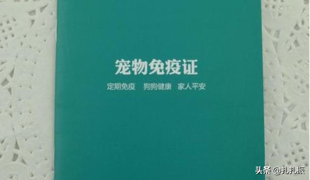 宠物坐火车的托运流程（宠物火车托运注意事项）