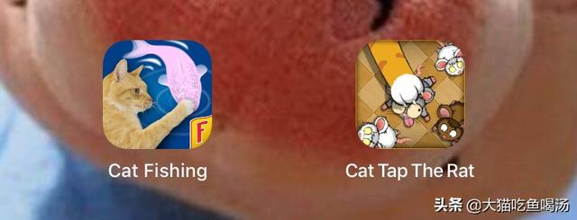 宠物小游戏大全（关于宠物的小游戏）