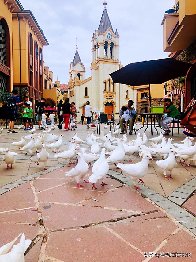 狗狗为什么会咬人 （狗狗为什么会咬人怎么办）