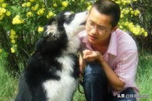 阿拉斯加犬小狗图片（阿拉斯加犬幼犬照片）