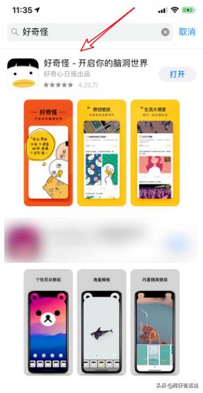 猫咪可爱壁纸（猫咪可爱壁纸卡通）