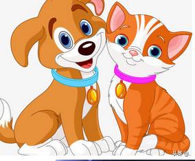 狗和猫的故事阅读答案（狗和猫的故事阅读答案四年级）