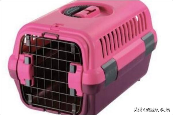 猫咪飞机托运（飞机托运猫咪的流程及价格）