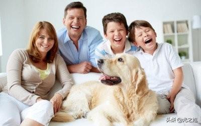 养宠物鱼需要准备什么（养宠物鱼需要准备什么东西）