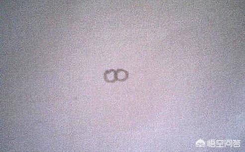 画蝴蝶图片大全大图（画蝴蝶图片大全大图可爱）