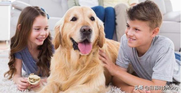 小狗怎么养 养小狗要准备什么