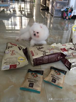 狗粮推荐国产（狗粮推荐国产品牌）