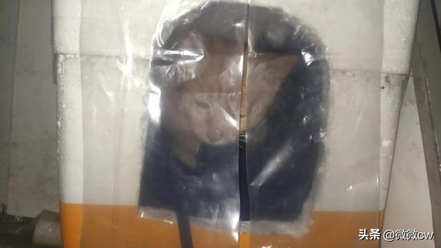 宠物猫窝图片及价格（宠物窝设计图）