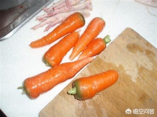 狗狗可以吃的食物（狗狗吃什么开胃促进食欲）