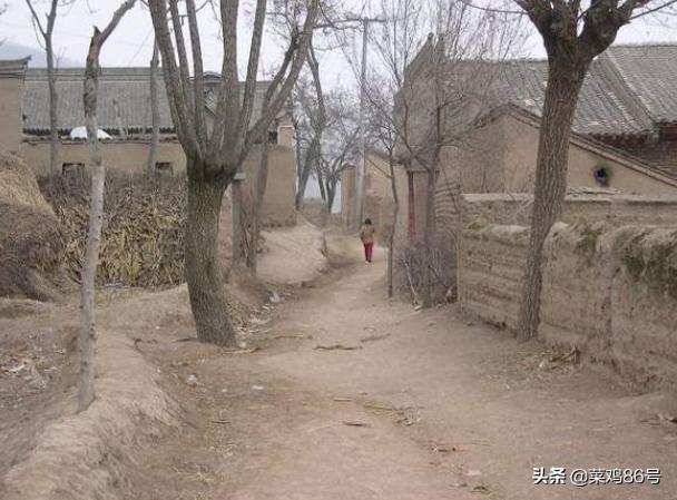 搞怪一点的狗狗名字（见过最搞笑的狗狗名字）