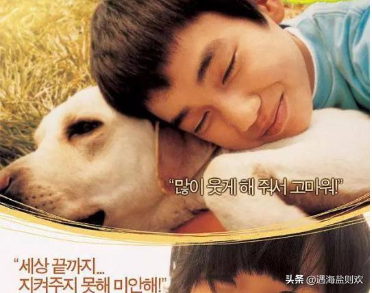 近期关于狗的电影有哪些（最近上映的一部关于狗的电影）