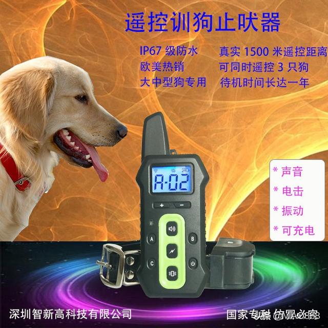 最好驯服的狗是什么（最好驯服的犬种）